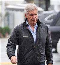 Harrison Ford, un peligro: casi se estrella contra un avión