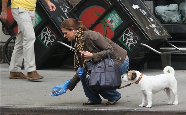 ¿Por qué una foto de Magdalena de Suecia con su perro revoluciona twitter?
