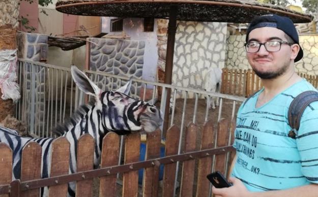 Este zoo se ha hecho famoso por pintar a los burros con rayas negras para que parezcan cebras 