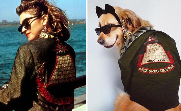 Maxdonna, el perrito que ha homenajeado a Madonna recreando sus imágenes icónicas