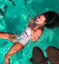 Laura Matamoros es atacada por un tiburón durante su viaje a Bahamas