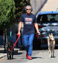 Jorge Javier se recupera y retoma sus rutinas paseando a sus perros