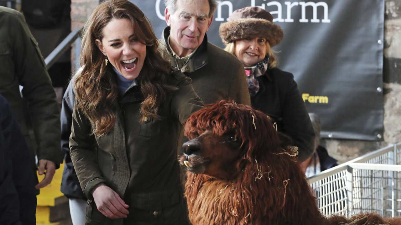 La razón por la que Kate Middleton ha pedido perdón entre serpientes y alpacas