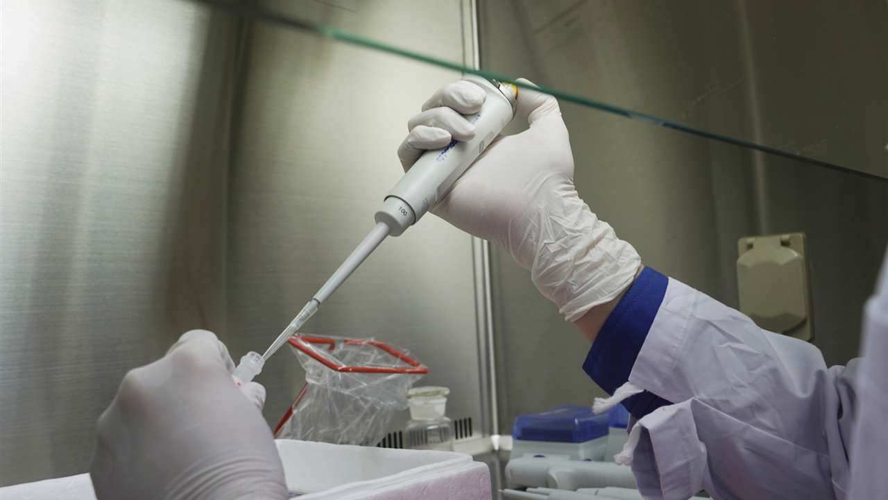 Una misteriosa donante entrega un millón de euros para financiar tests contra el coronavirus