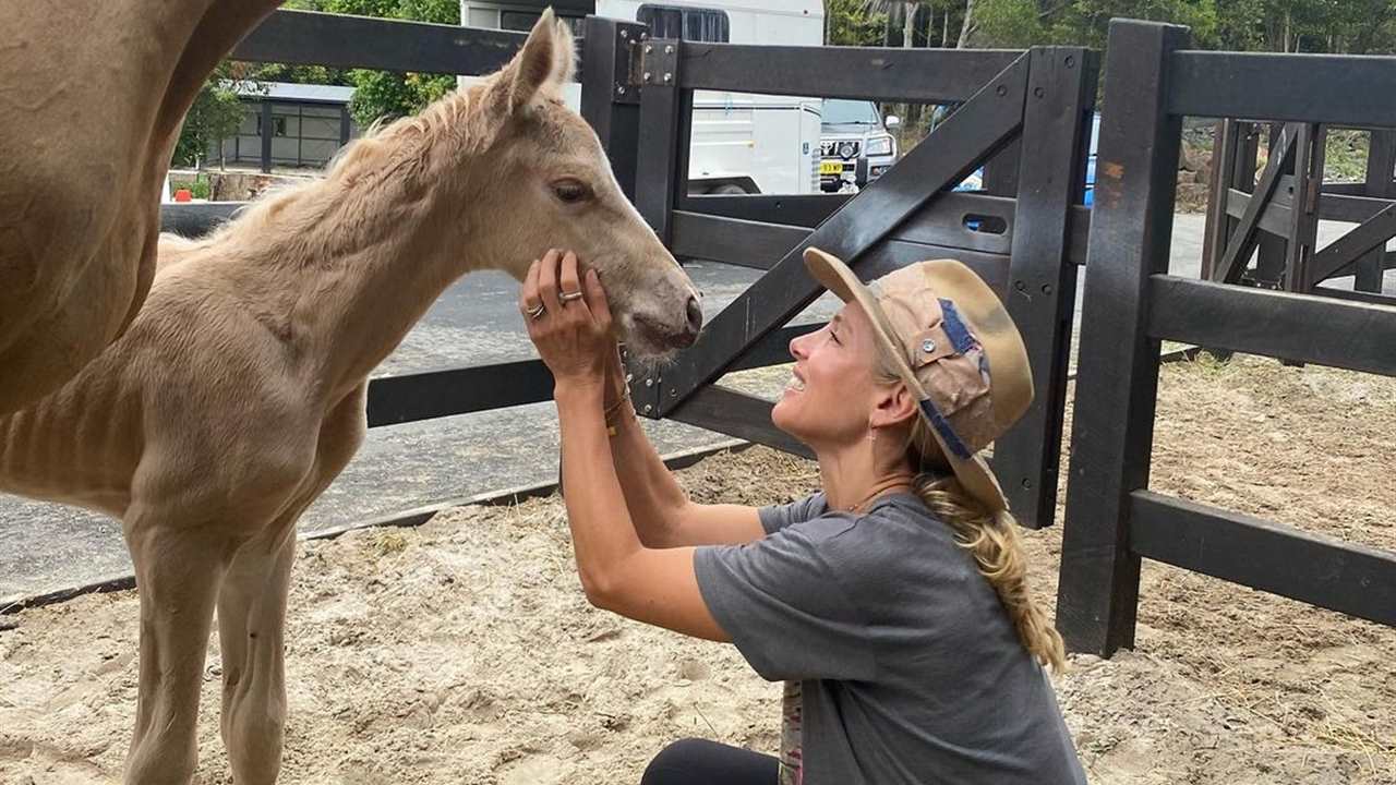 Elsa Pataky: su vídeo ayudando a parir a una yegua que ha dado la vuelta al mundo