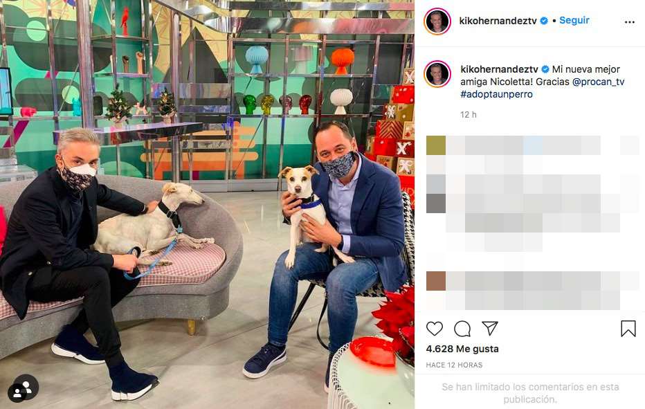 Kiko Hernández adopta un perro