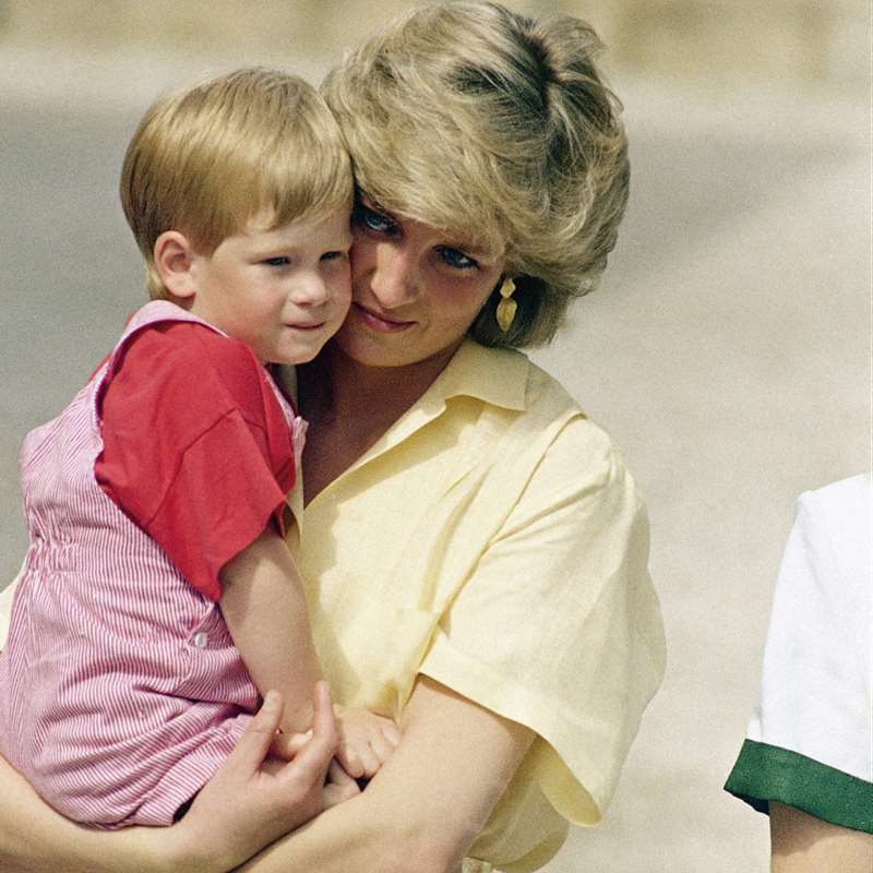 El príncipe Harry rinde homenaje a Diana de Gales en la web de Archewell