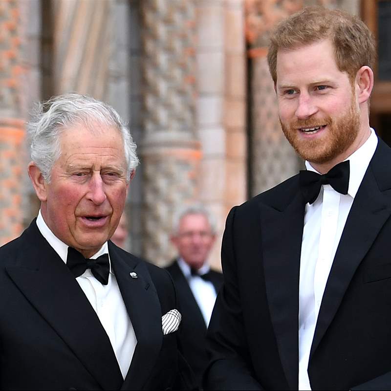 El príncipe Harry se distancia (aún más) del príncipe Carlos ante su última polémica