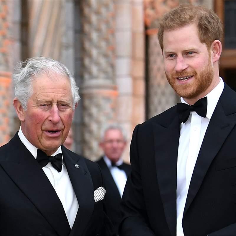 El príncipe Harry se ve afectado por la investigación a la fundación de su padre, el príncipe Carlos