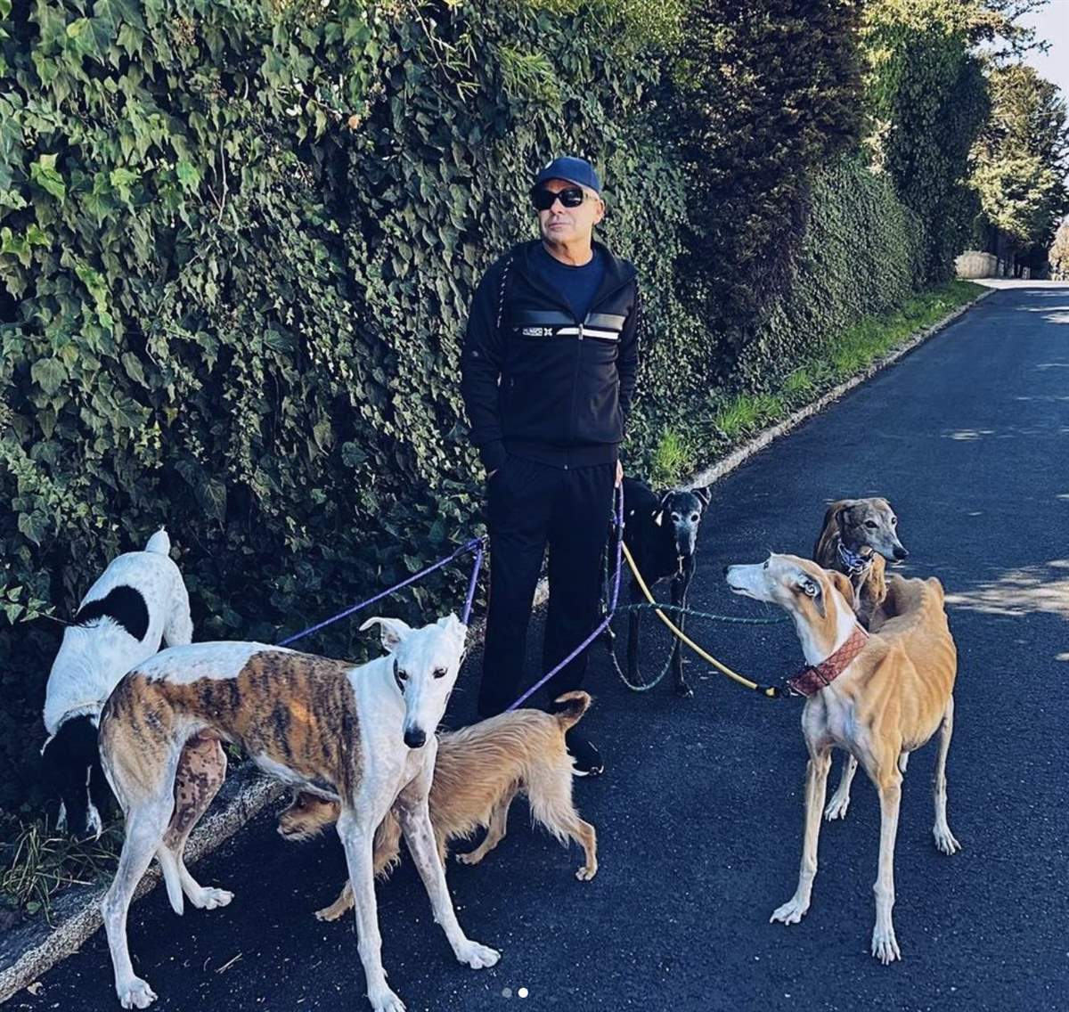 Jorge Javier con sus perros