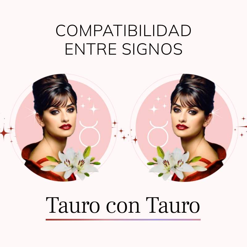 Tauro y Tauro, compatibilidad de signos en el amor, amistad y trabajo