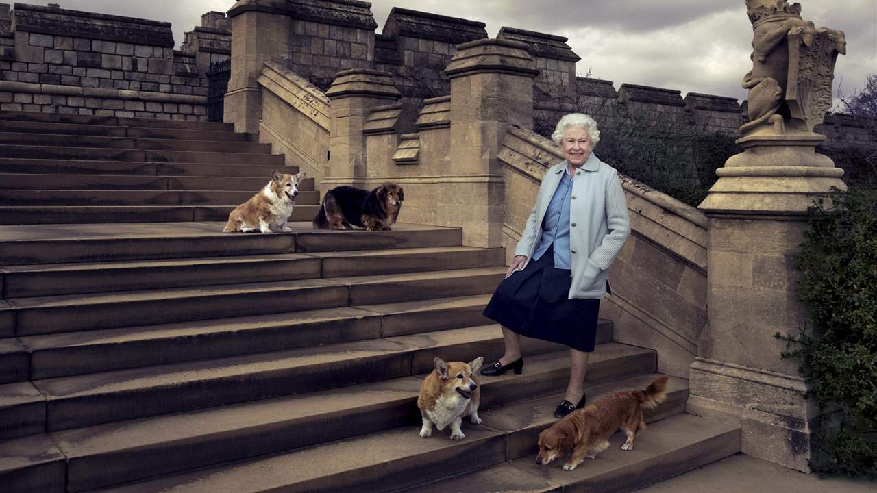 Los corgis de Isabel II protagonizan la imagen más tierna de su último adiós en Windsor