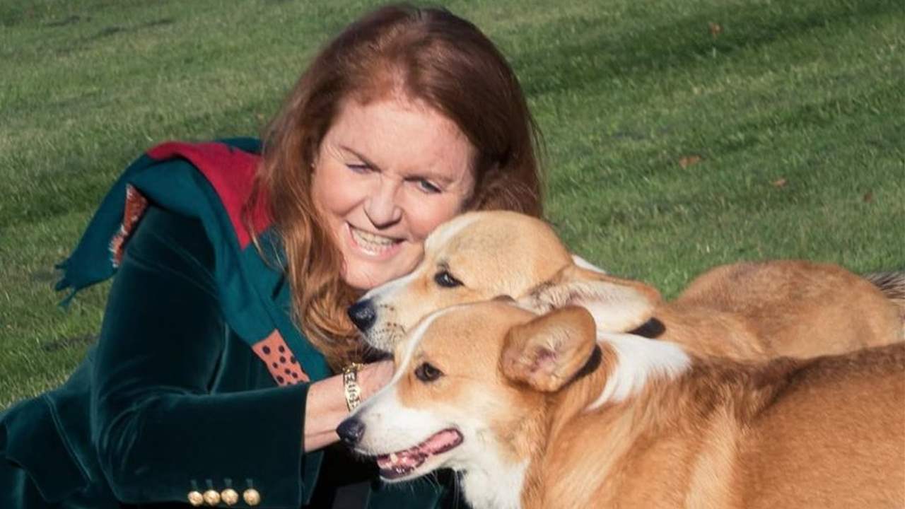 Sarah Ferguson comparte las primeras imágenes de los corgis de Isabel II tras su último adiós