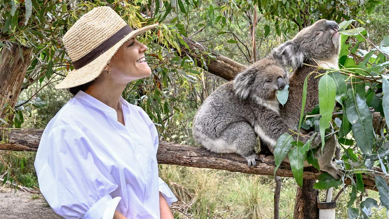 Victoria de Suecia muere de amor con una familia de koalas en su viaje oficial a Australia