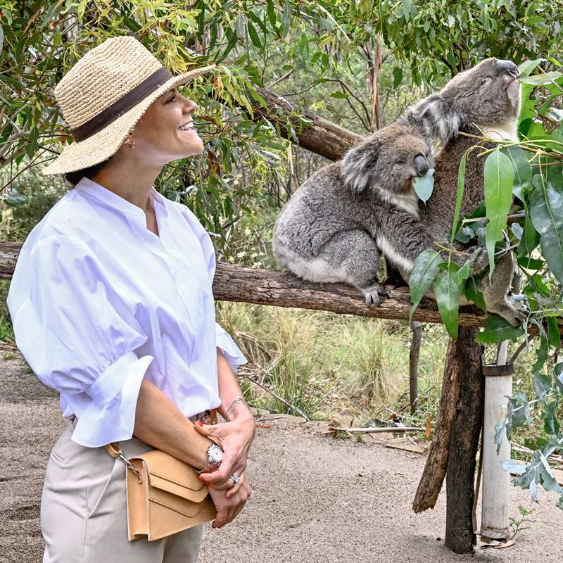 Victoria de Suecia muere de amor con una familia de koalas en su viaje oficial a Australia