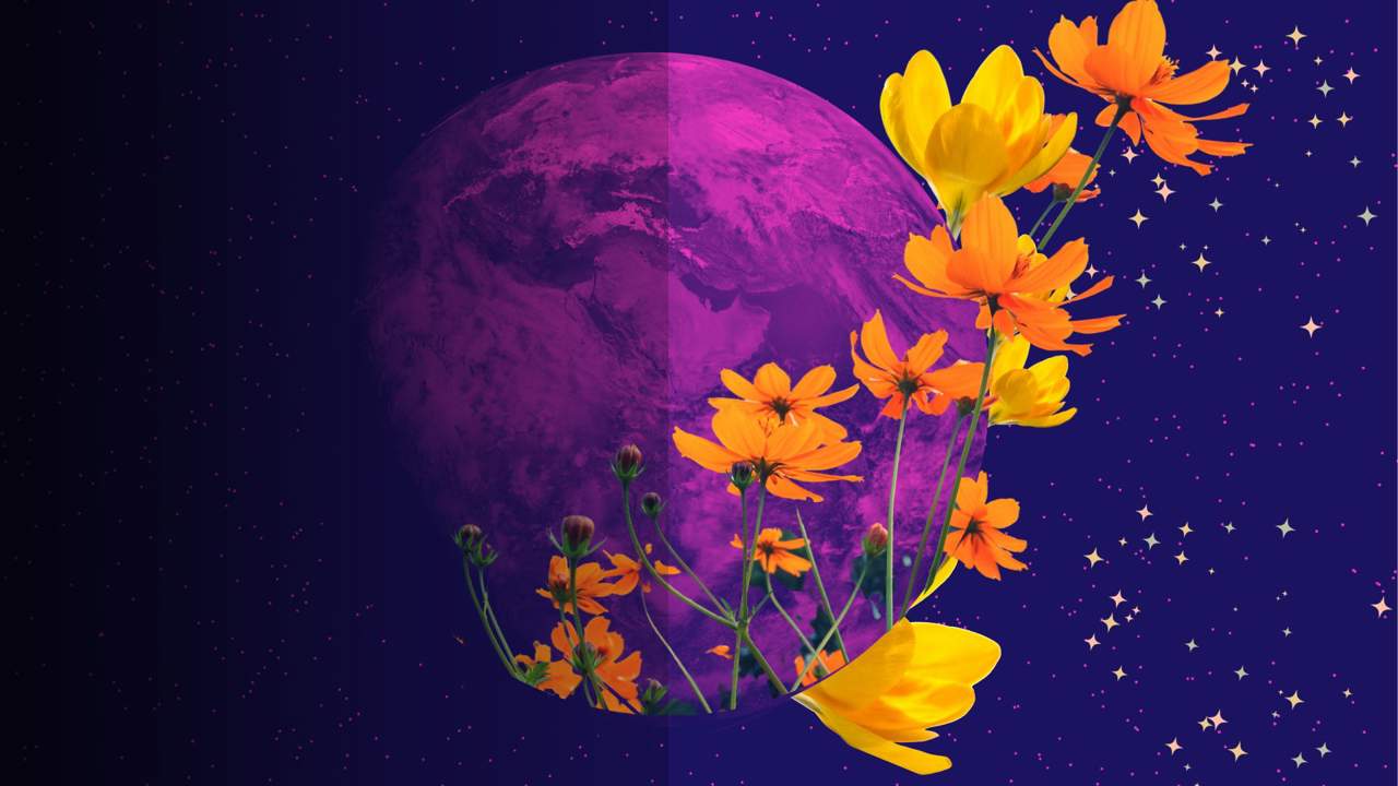Equinoccio de septiembre: qué es y cómo afecta a los signos del zodiaco la llegada del otoño