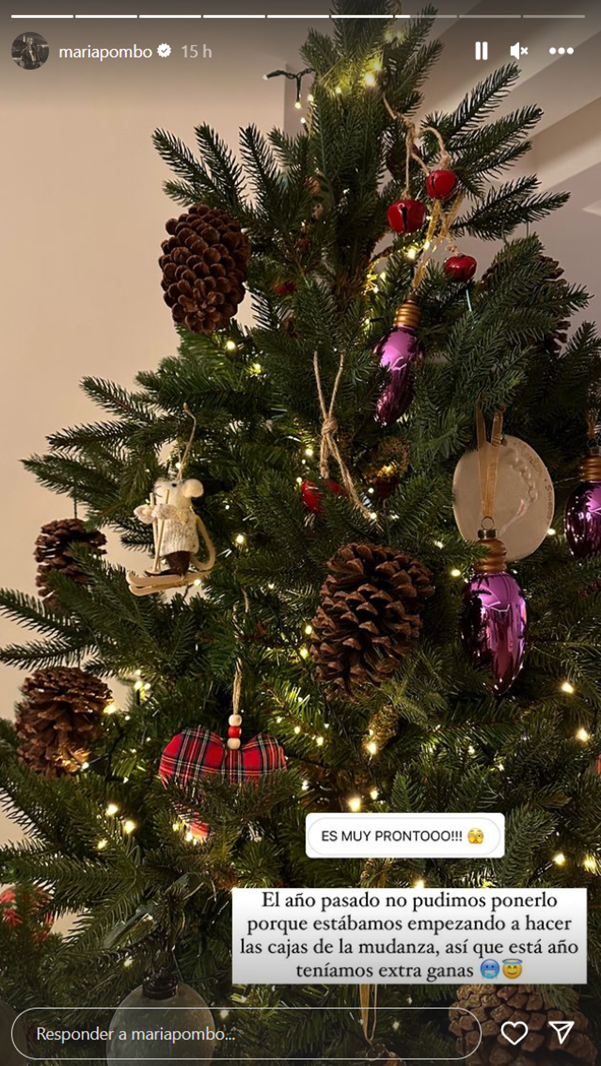 Decoración del árbol de Navidad. 